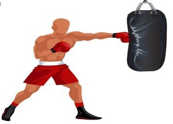 arnav Boxing Punching Bag Unfilled Heavy Canvas at Rs.799