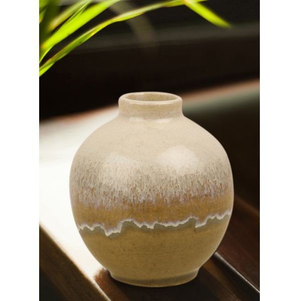 ExclusiveLane Handcrafted Studio Pottery Vase