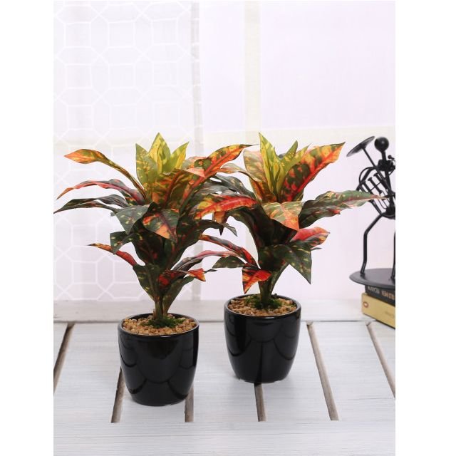 Fourwalls Green & Orange Artificial Croton Plants With Ceramic Pot