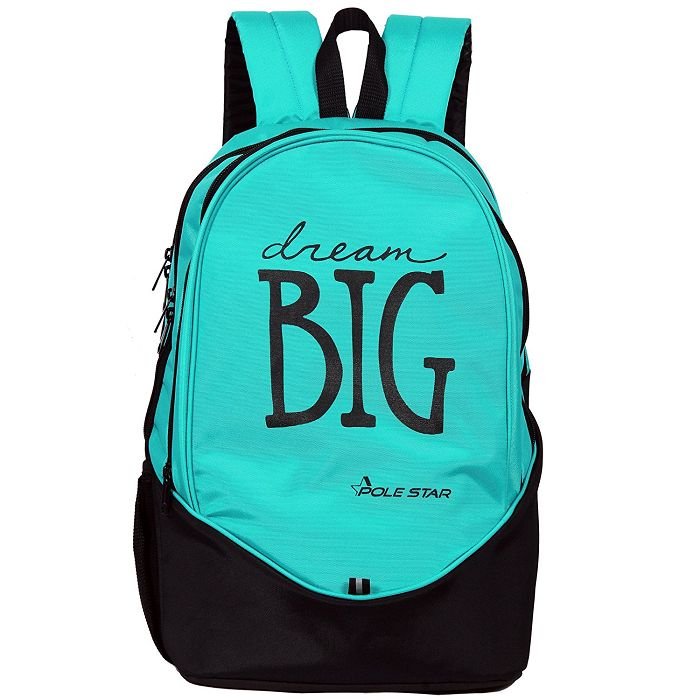 Polyester 36 Ltr Turquoise & Black Polyester Laptop Backpack