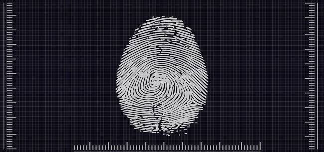 Biometric Verification Revamping Different Spears of Life